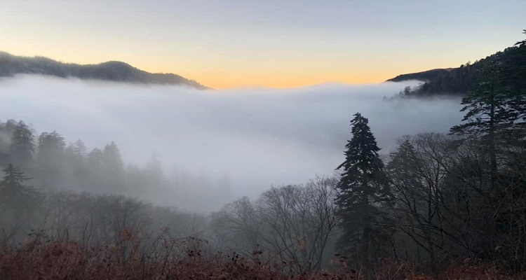 Great Smokey Mountains